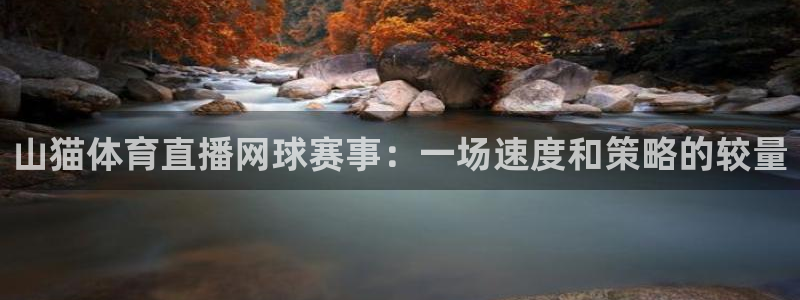 球神看球直播：山猫体育直播网球赛事：一场速度和策略的较量