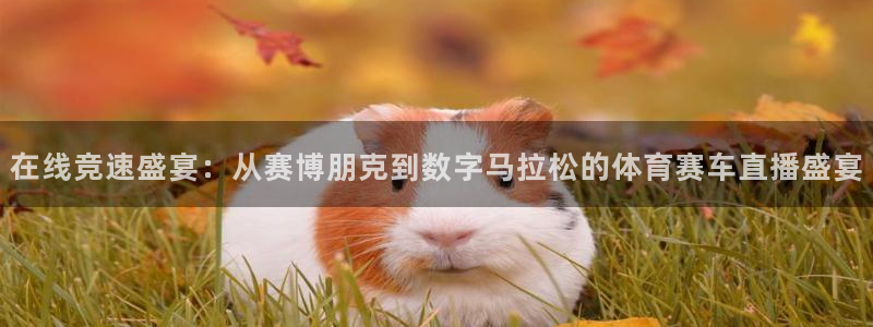 球神直播间：在线竞速盛宴：从赛博朋克到数字马拉松的体育赛车直播盛宴