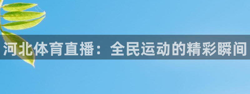 qszb球神直播首页：河北体育直播：全民运动的精彩瞬间