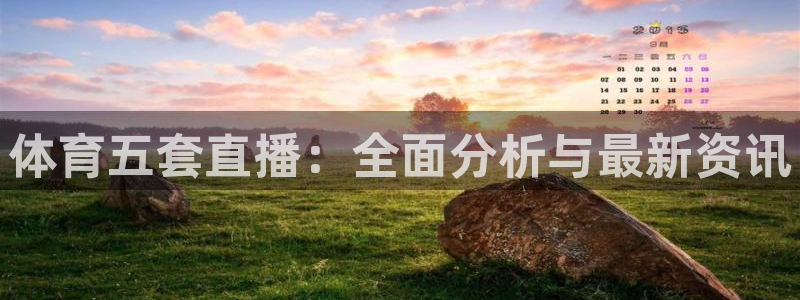 球神 直播：体育五套直播：全面分析与最新资讯