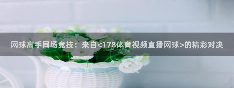 球神直播nba：网球高手同场竞技：来自<178体育视频直播网球>的精彩对决