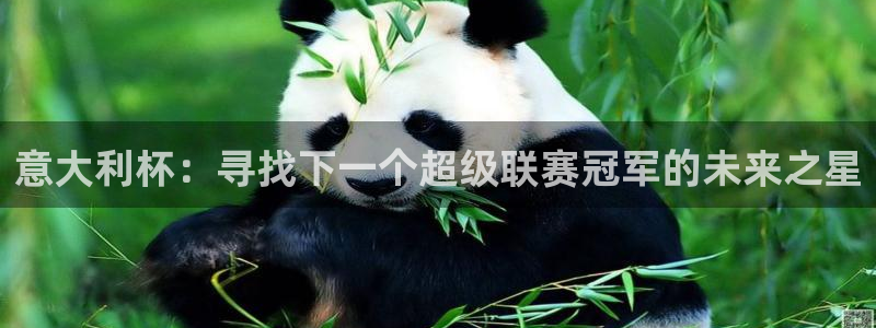 球神直播网免费直播在线观看：意大利杯：寻找下一个超级联赛冠军的未来之星
