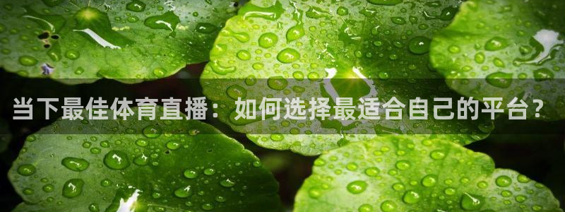 足球直播球神：当下最佳体育直播：如何选择最适合自己的平台？