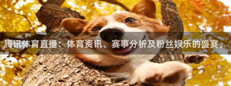 qszb球神直播首页：腾讯体育直播：体育资讯、赛事分析及粉丝娱乐的盛宴。