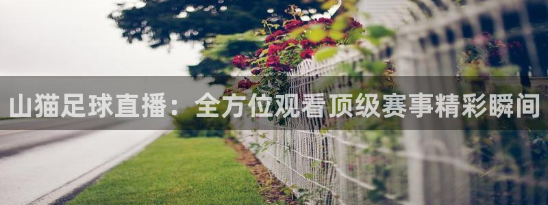 球神nba直播：山猫足球直播：全方位观看顶级赛事精彩瞬间
