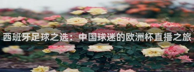 黑白直播免费高清看球神器：西班牙足球之选：中国球迷的欧洲杯直播之旅