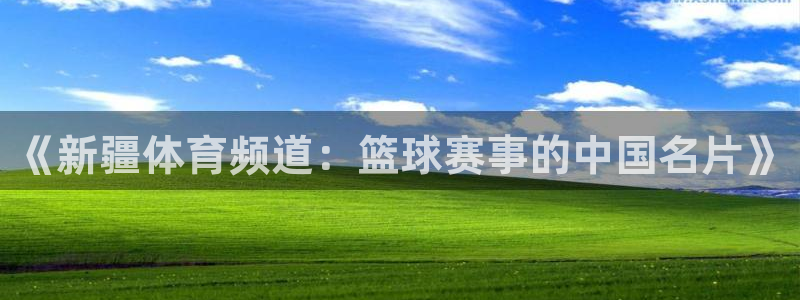 球神直播免费足球直播：《新疆体育频道：篮球赛事的中国名片》